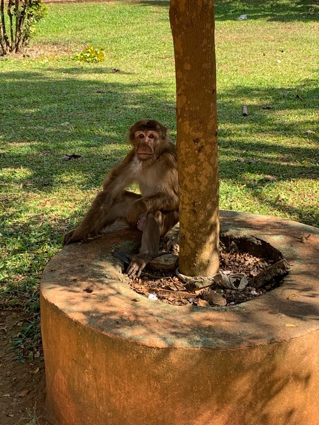 Lugares Monkey Cave