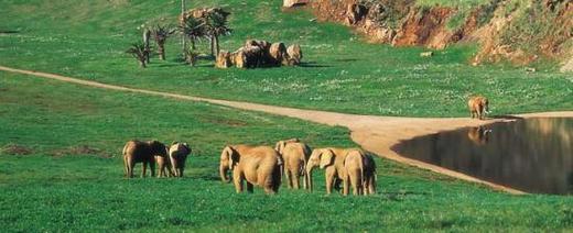 Parque de la Naturaleza de Cabárceno