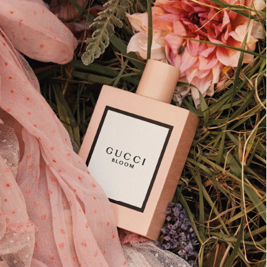 Belleza Gucci Bloom Perfume