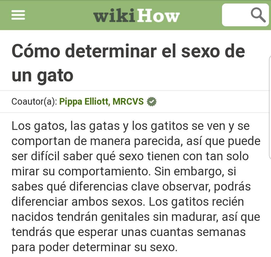 Moda Determinar el sexo de un gato