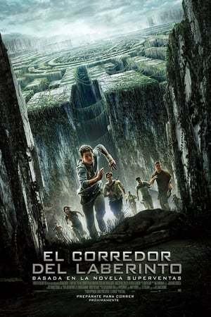 Película El corredor del laberinto