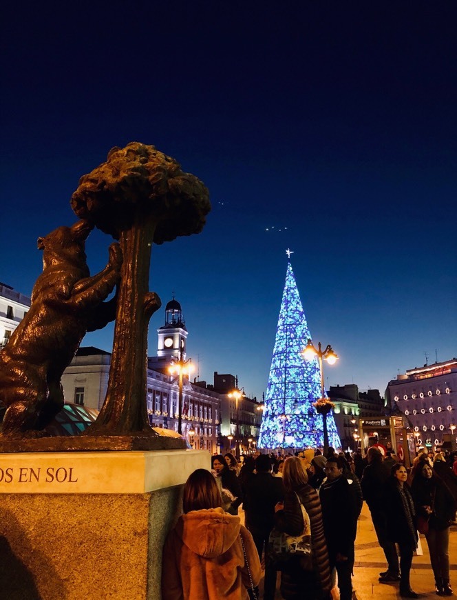 Place Plaza Puerta del Sol