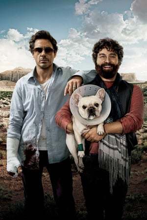 Movie Salidos de cuentas