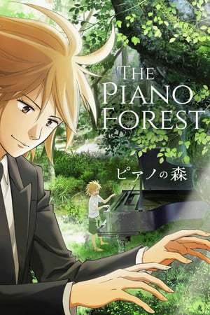 Serie El bosque del piano