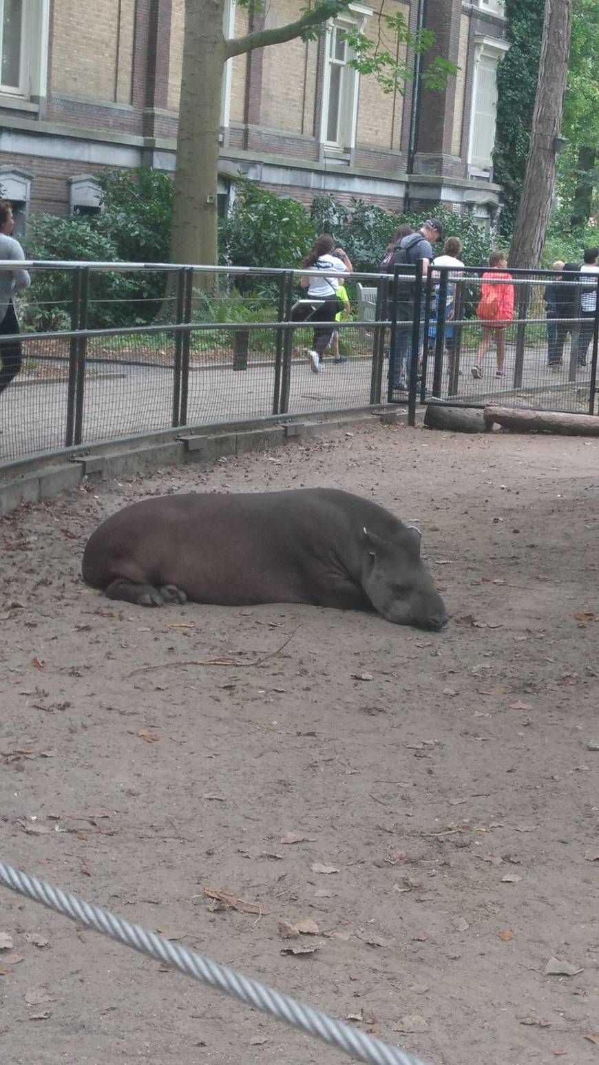 Lugar Grădina Zoologică Artis