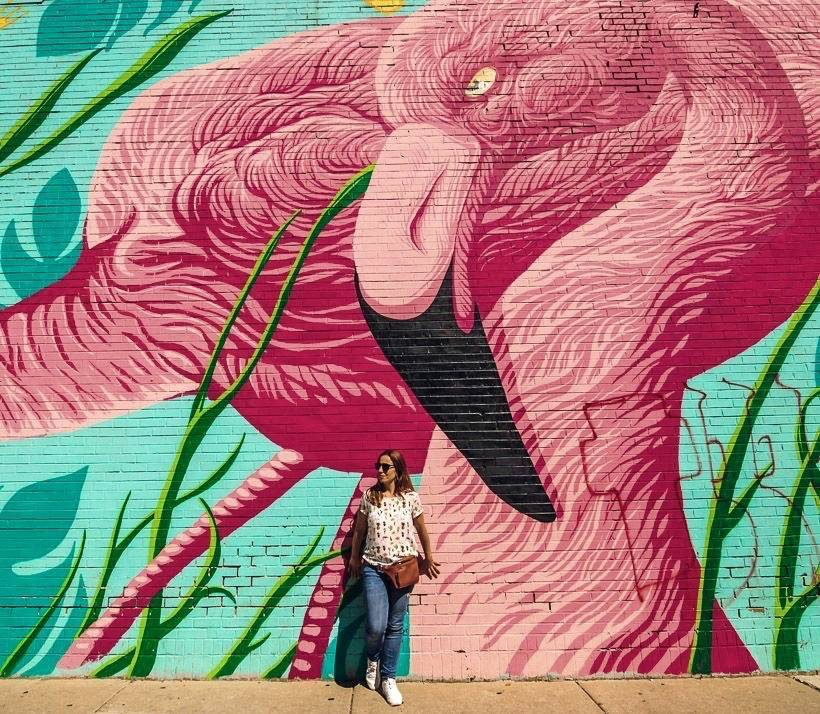 Lugar Flamingo mural