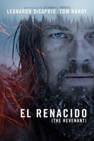 Movie El renacido