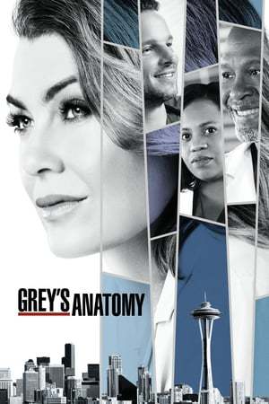 Serie Anatomía de Grey