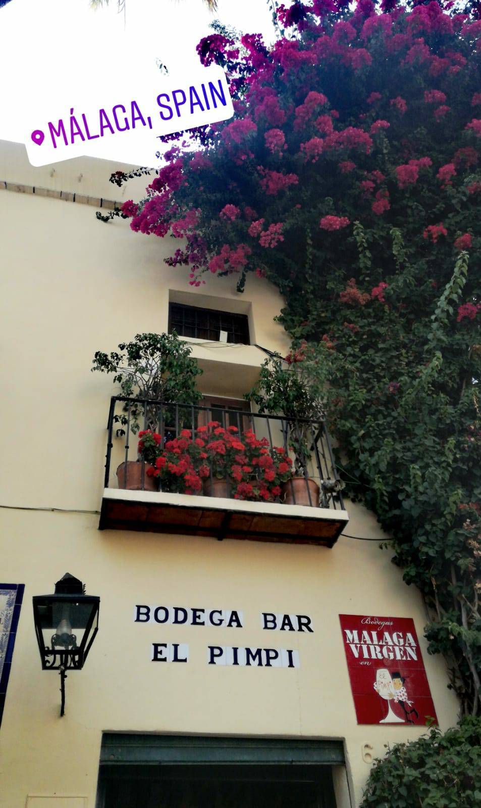 Restaurants Bodega Bar El Pimpi