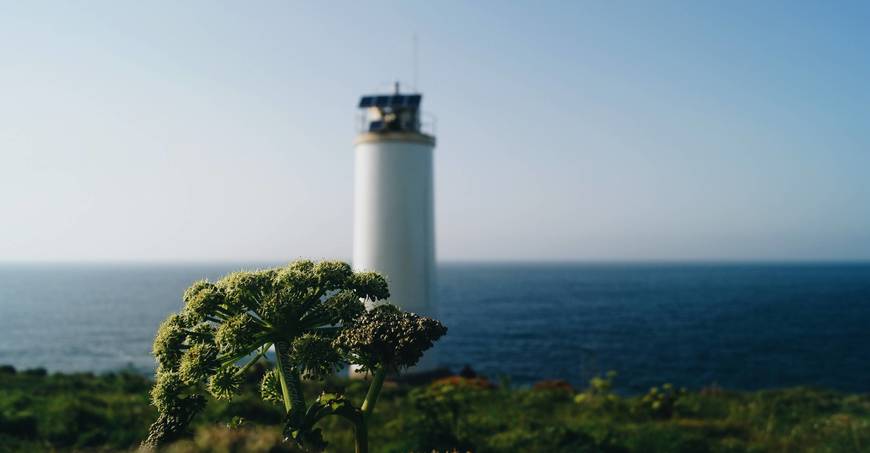 Place Faro de Laxe