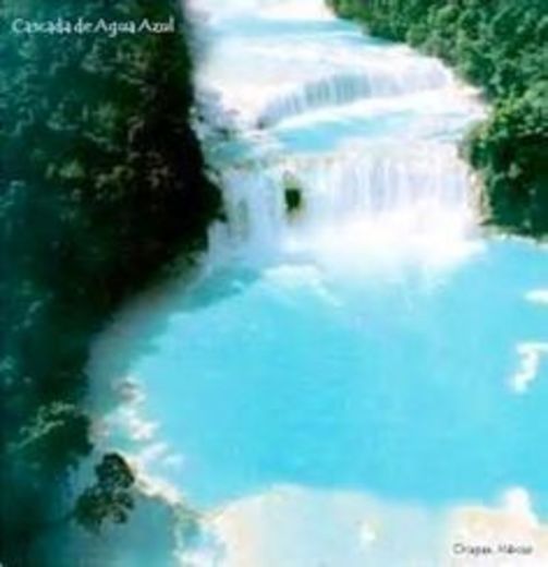 Cascadas de Agua Azul