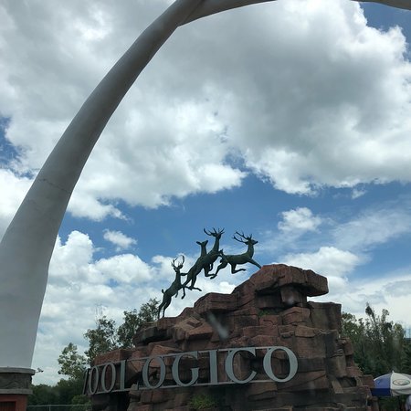 Place Zoológico de León