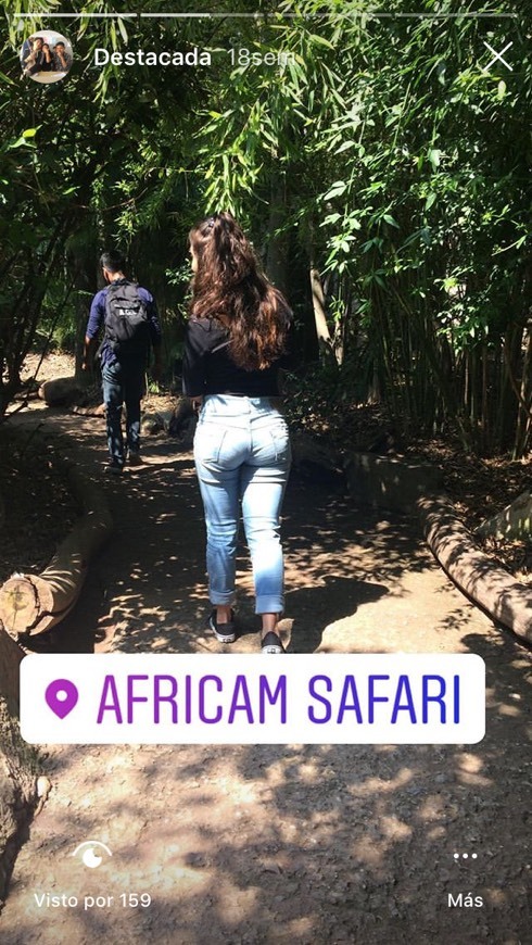 Place Africam Safari