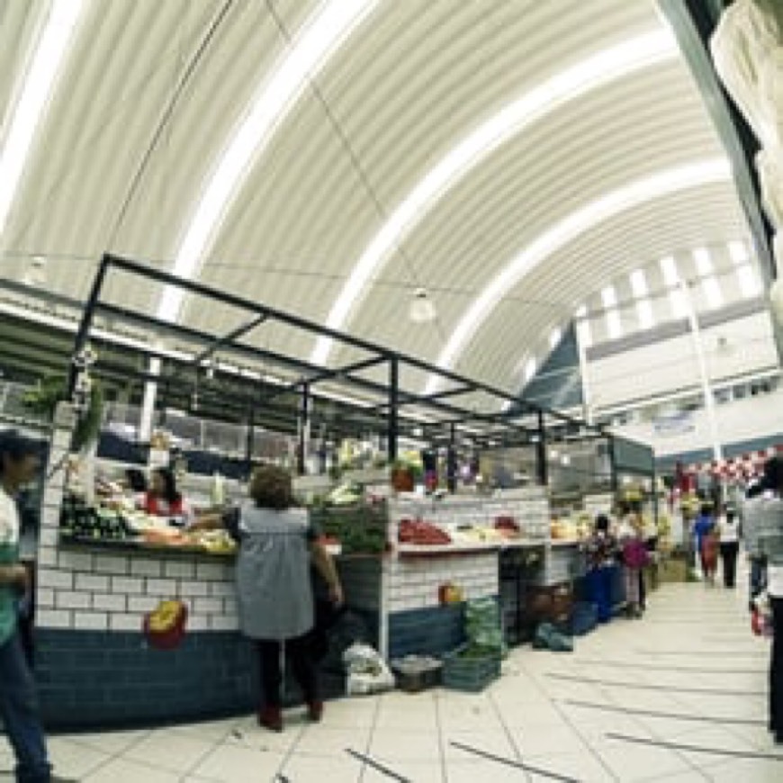 Mercado El Verde