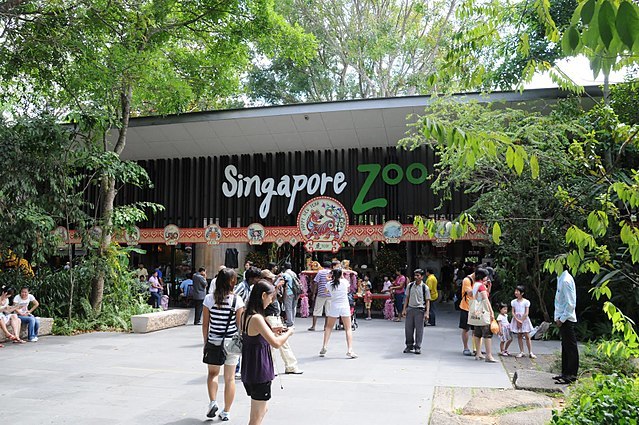 Lugar Zoológico de Singapur