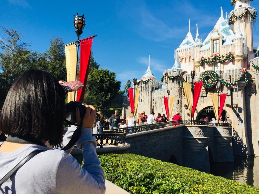 Place Disney California Adventure Park