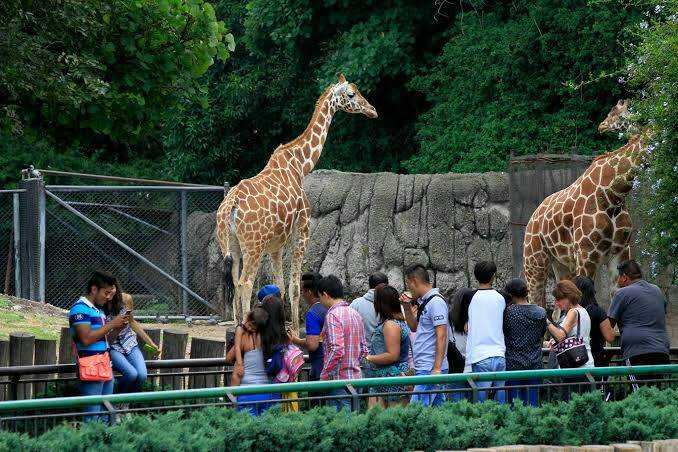 Place Zoológico de Chapultepec