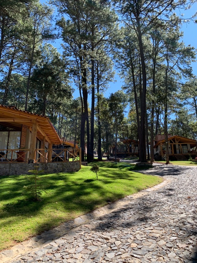 Lugares Cabañas La Vid del Bosque