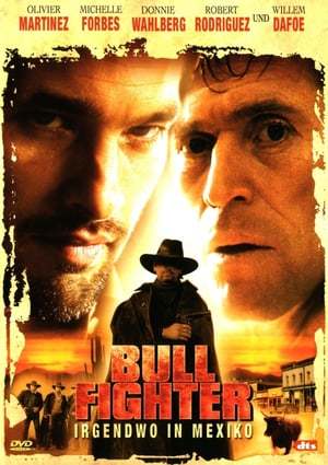 Película Bullfighter