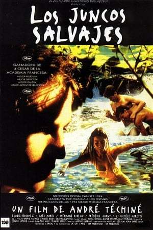 Película Los juncos salvajes