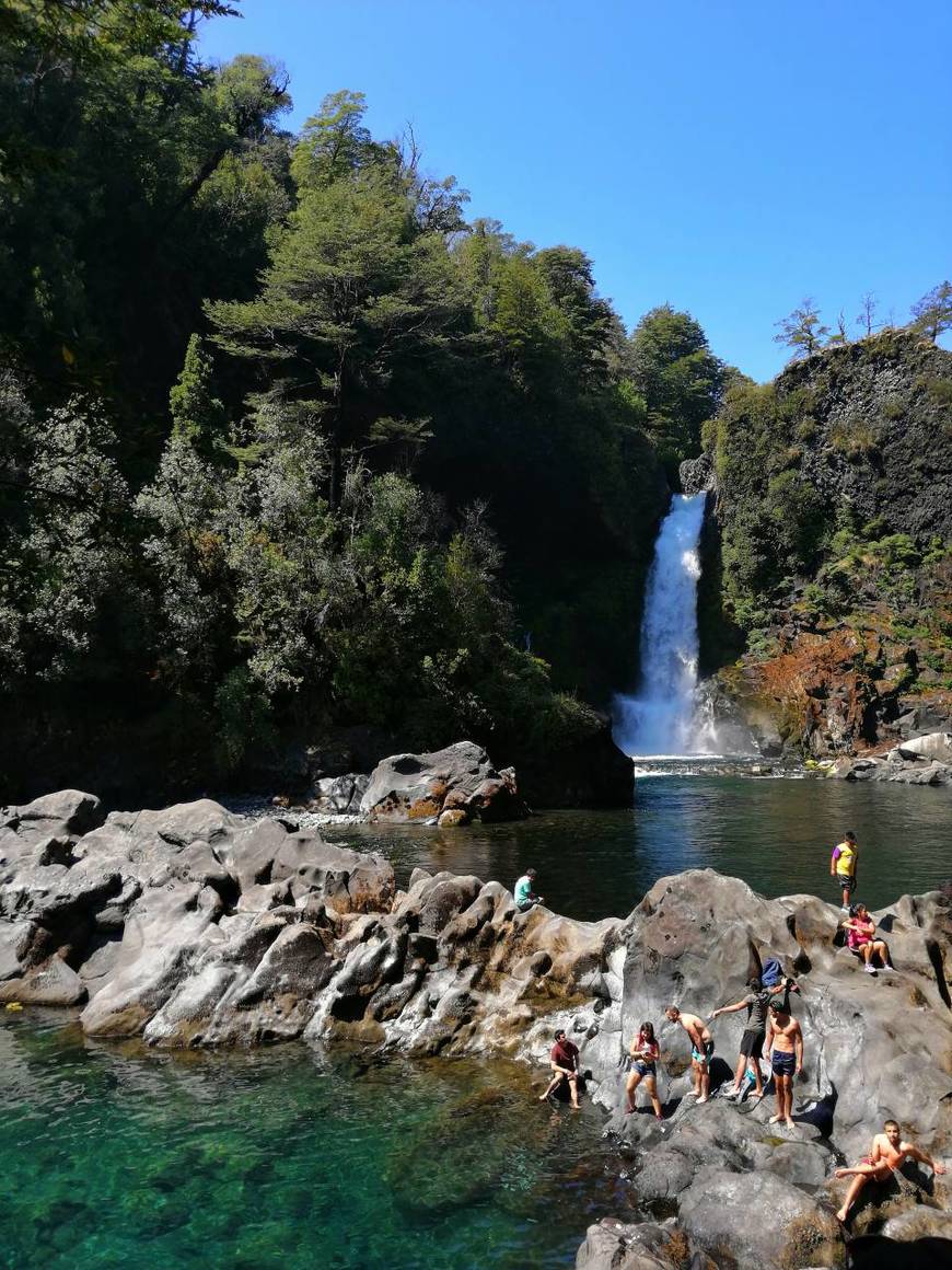 Lugar Reserva Biológica Huilo Huilo