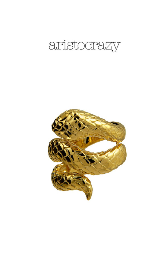 Products Anillo serpiente