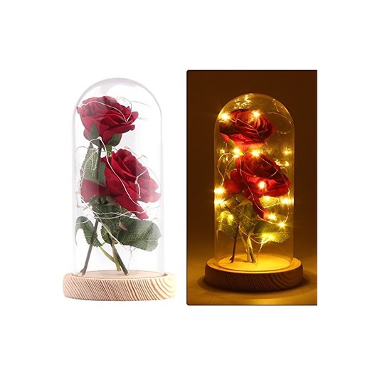 Rosa en cúpula de cristal con luz