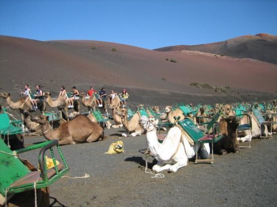 Place Lanzarote