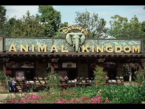 Places Animal Kingdom