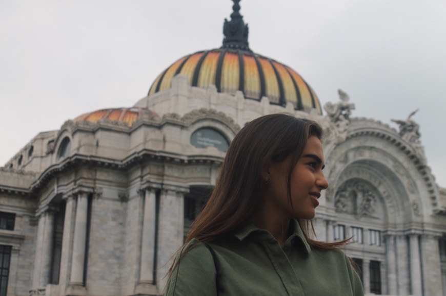 Lugar Palacio de Bellas Artes