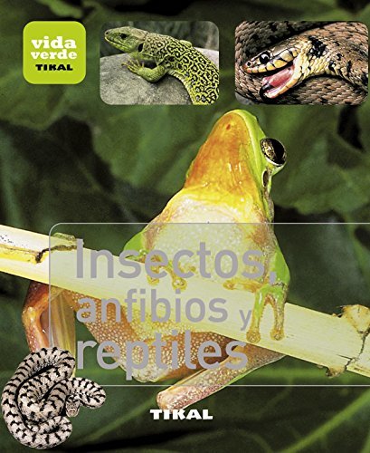 Book Insectos, anfibios y reptiles