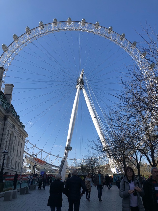 Place London Eye