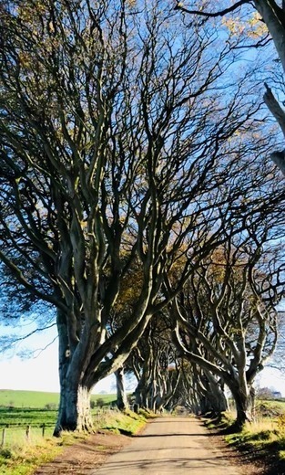 Lugar The Dark Hedges