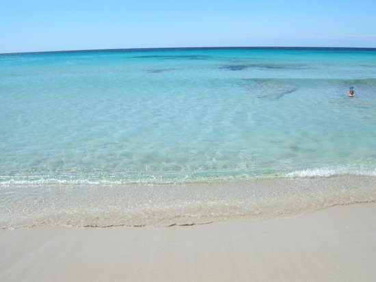 Lugares Playa de Son Bou (Alaior) - 2018 Qué saber antes de ir - Lo más ...