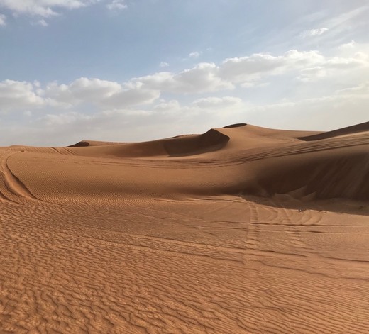 Desert Safari Dubai