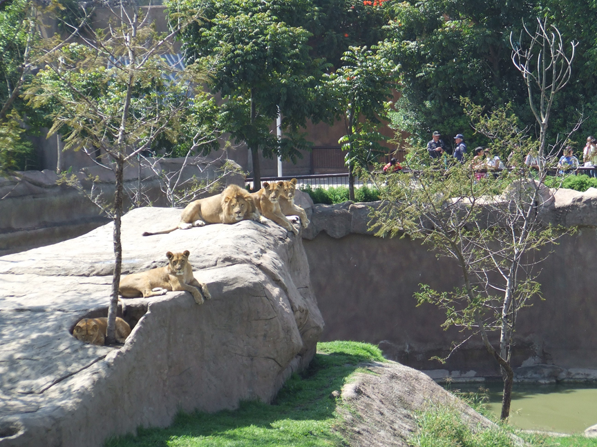 Lugar Zoológico de San Juan de Aragón