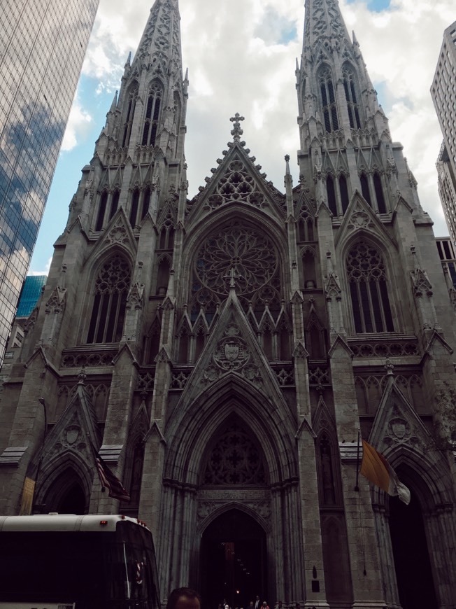 Place Saint Patrick's Cathedral