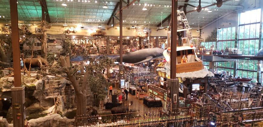 Place Bass pro shops 