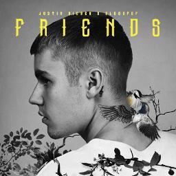 Canción Friends (with BloodPop®)