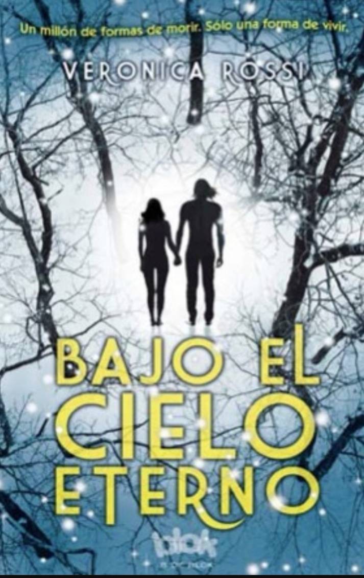 Book Bajo el cielo eterno