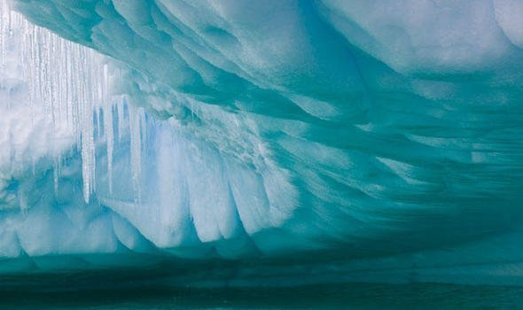 Películas La vida bajo el hielo