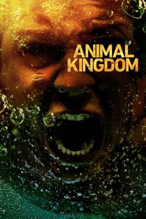 Serie Animal Kingdom