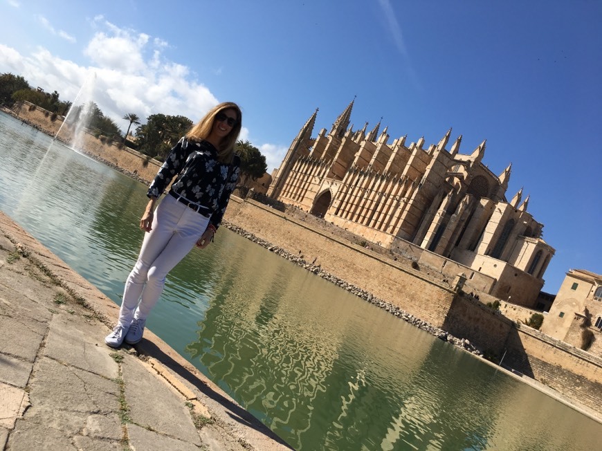 Lugar Catedral de Mallorca