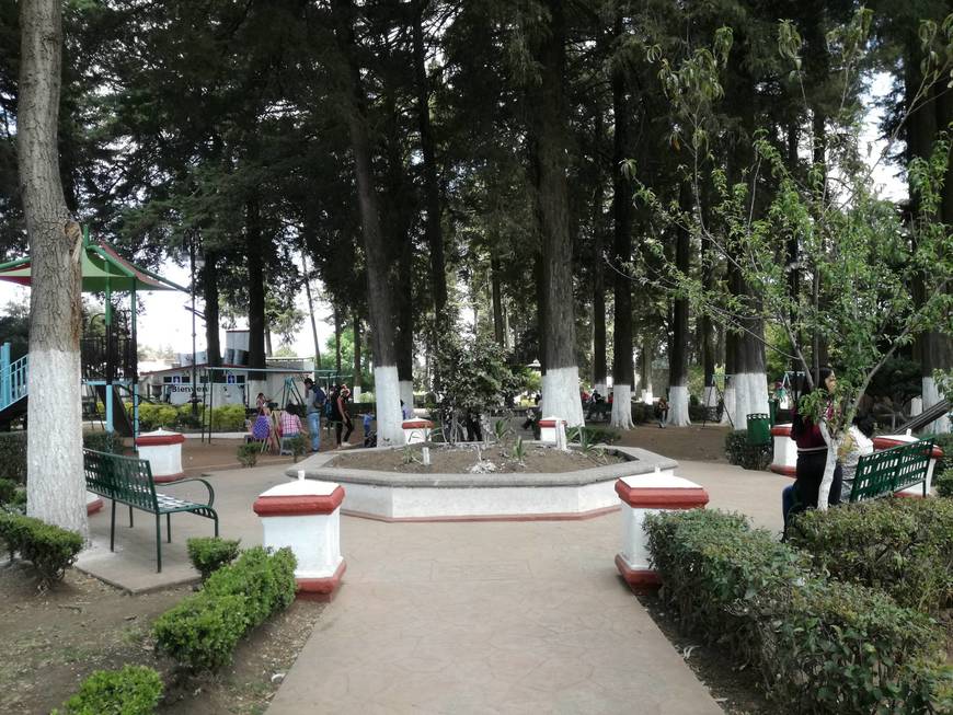 Place Parque Municipal