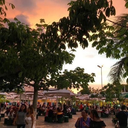 El Parque de las Palapas (Cancun) - 2019 All You Need to Know ...