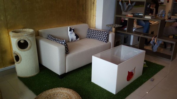 Place Cat café El passatge dels Gats