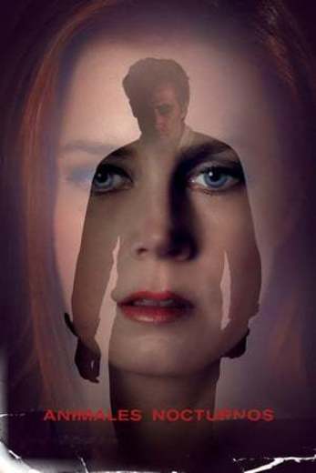 Nocturnal Animals