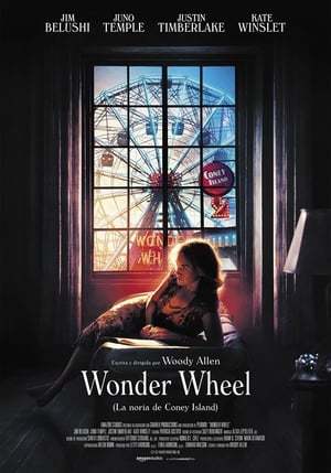 Película Wonder Wheel