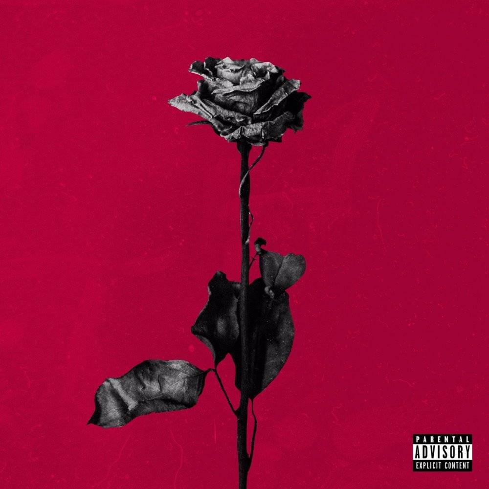 Deadroses 