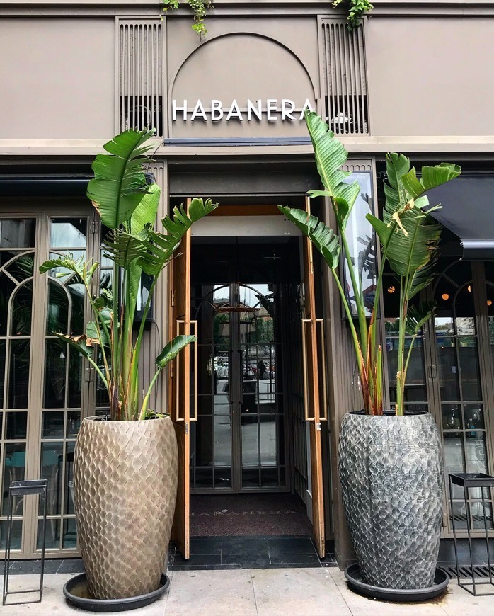 Restaurants Habanera